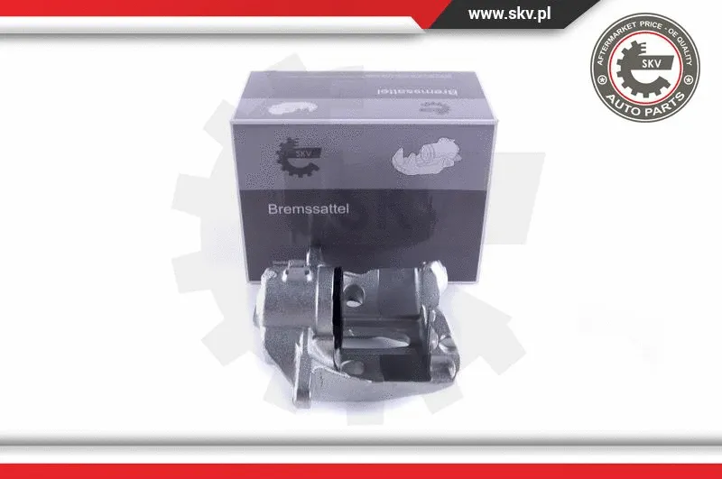 Brake Caliper (55SKV172)