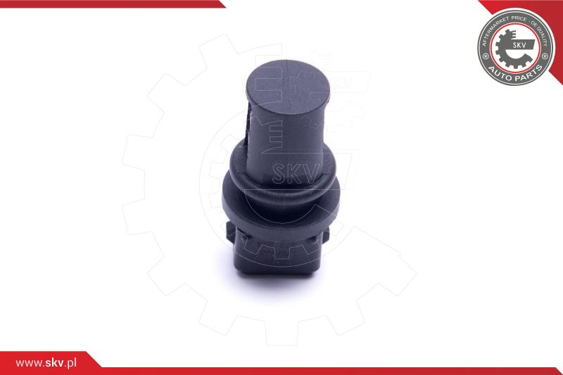 Sensor, intake air temperature