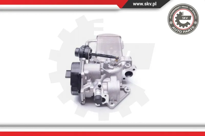 EGR Valve