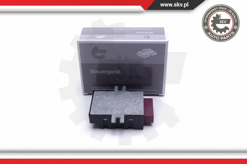 Control Unit, fuel pump (96SKV209)