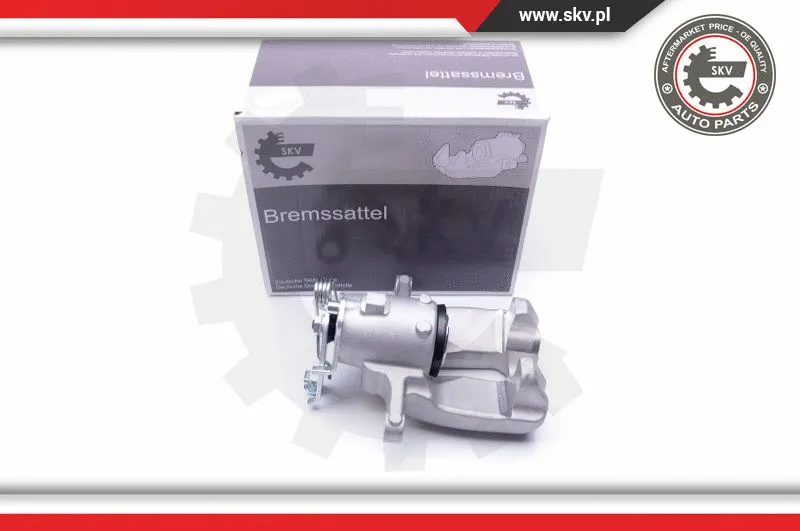 Brake Caliper (42SKV067)