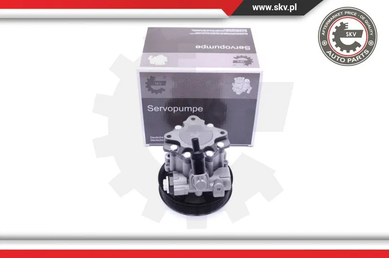 Hydraulic Pump, steering (10SKV241)