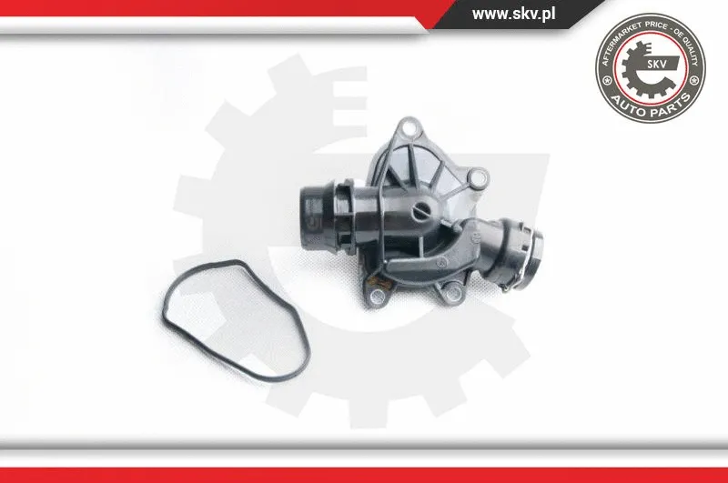 Thermostat, coolant (20SKV042)