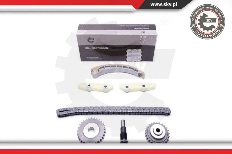 Timing Chain Kit (21SKV144)