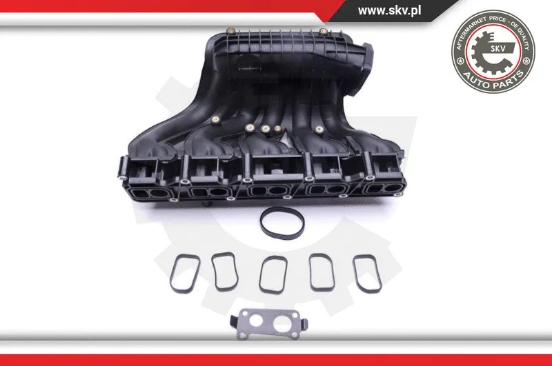 Intake Manifold Module