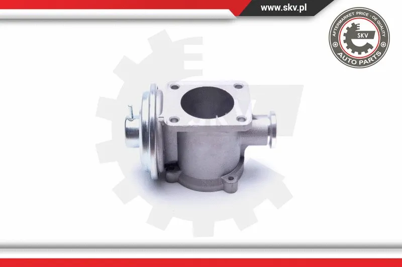EGR Valve