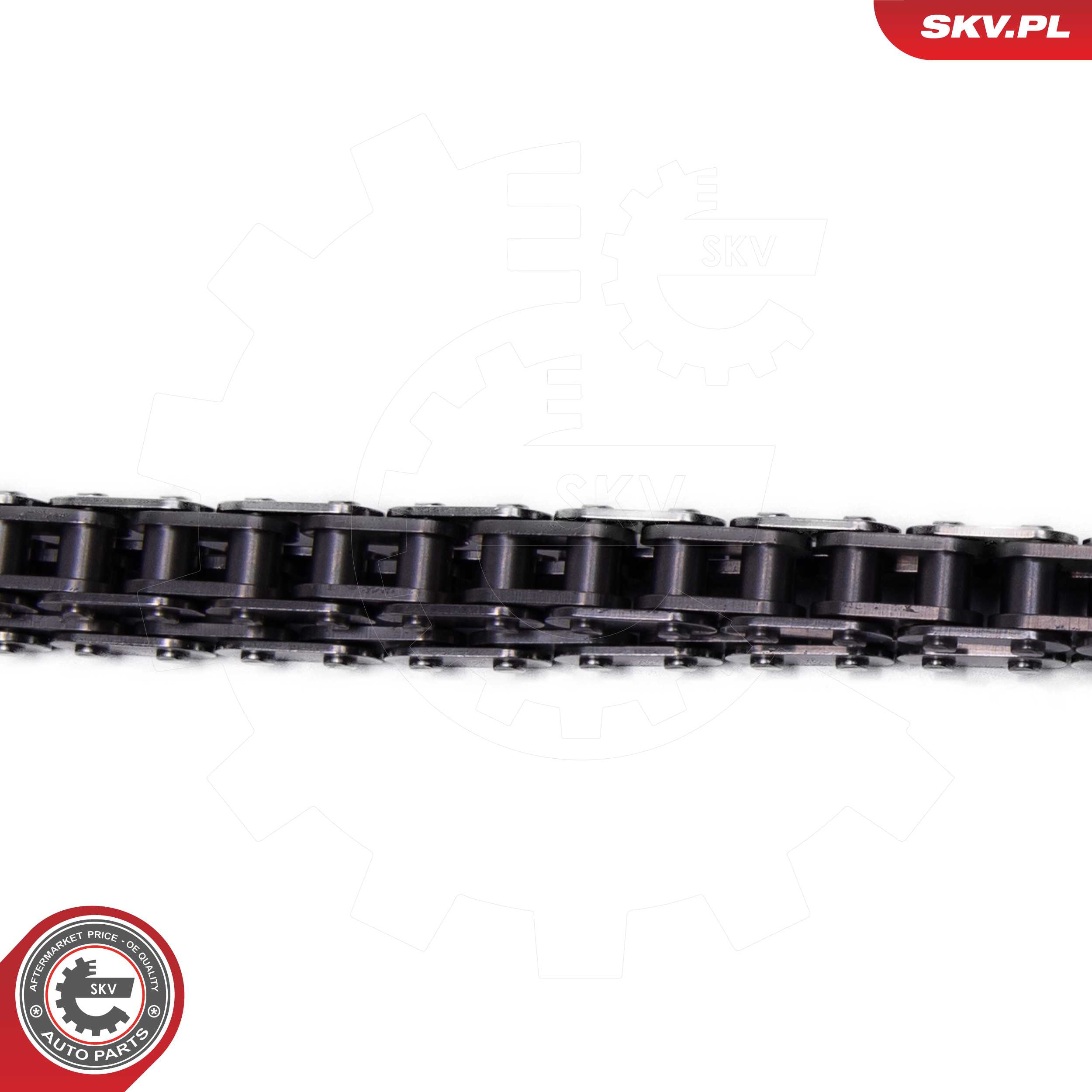Timing Chain Kit