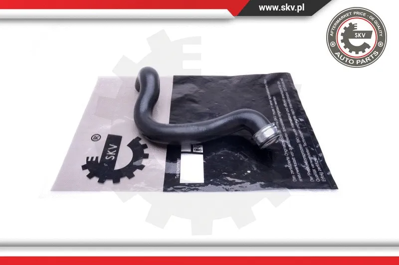 Radiator Hose (43SKV650)