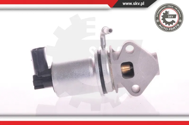 EGR Valve (14SKV008)
