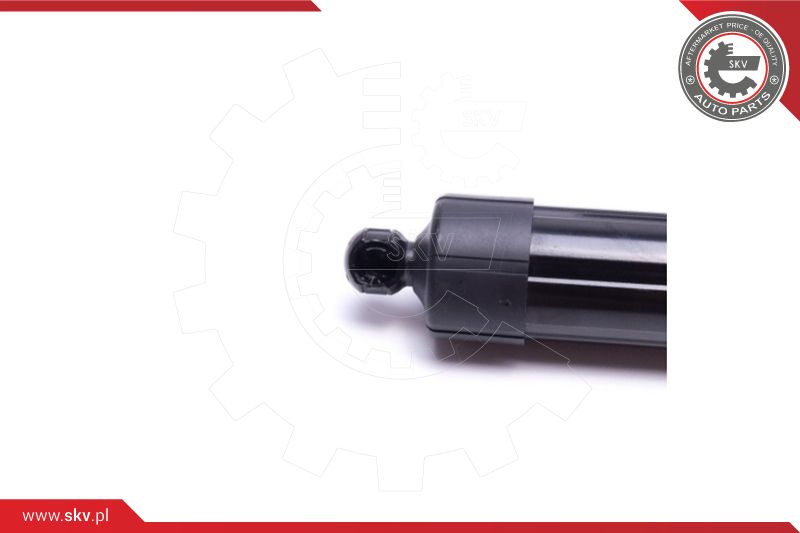 Electric Motor, tailgate