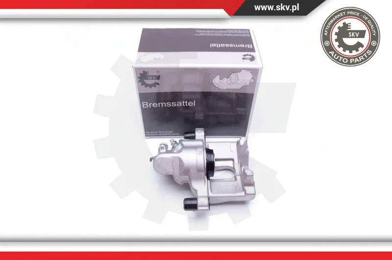 Brake Caliper (42SKV543)