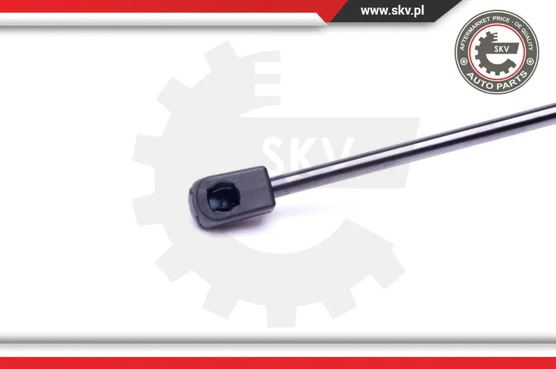 Gas Spring, boot/cargo area