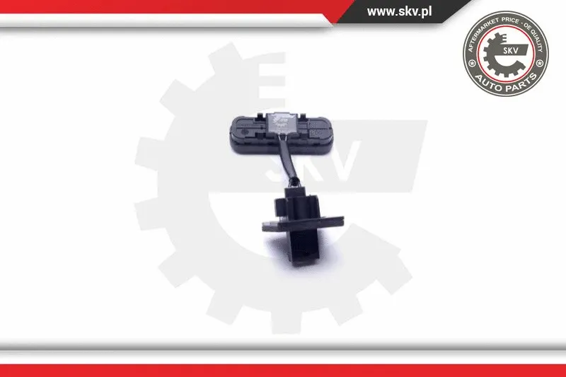 Switch, tailgate release