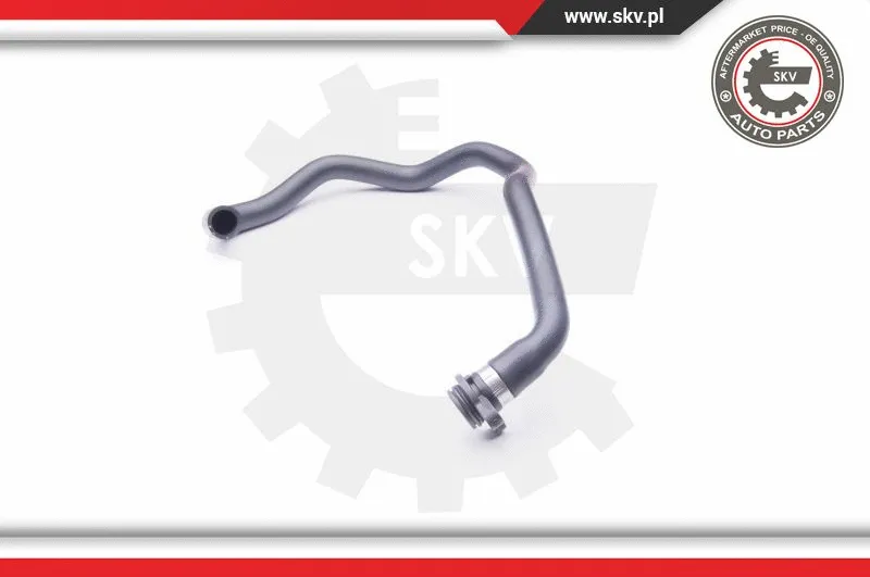 Radiator Hose (24SKV260)