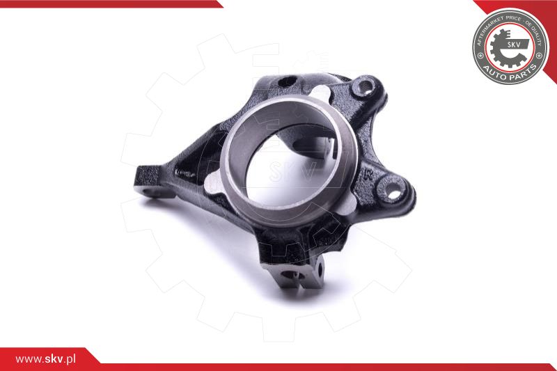 Steering Knuckle, wheel suspension