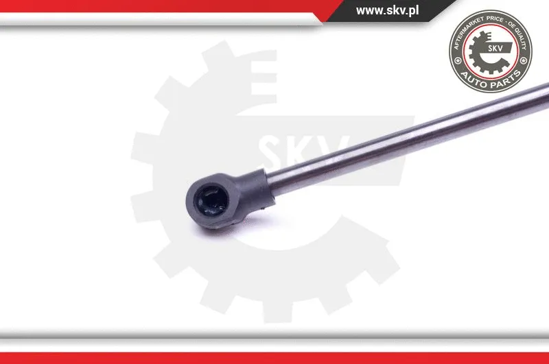 Gas Spring, boot/cargo area