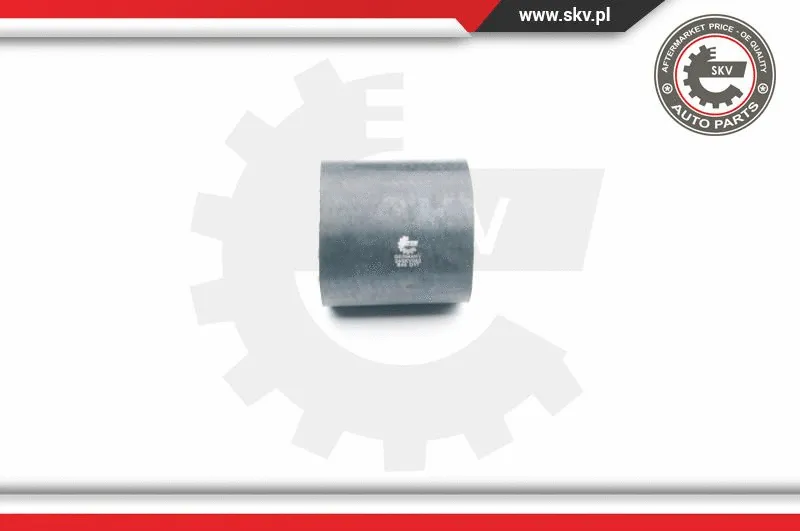 Charge Air Hose (24SKV062)