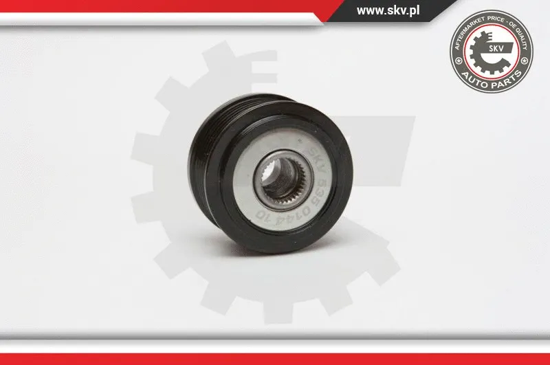 Alternator Freewheel Clutch (11SKV054)