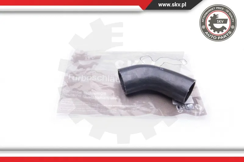 Charge Air Hose (24SKV700)
