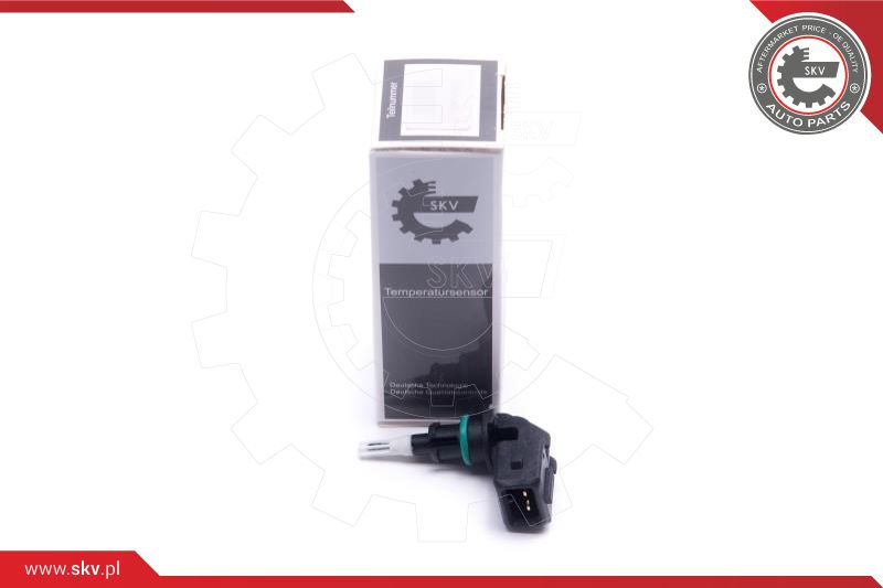 Sensor, intake air temperature (17SKV679)