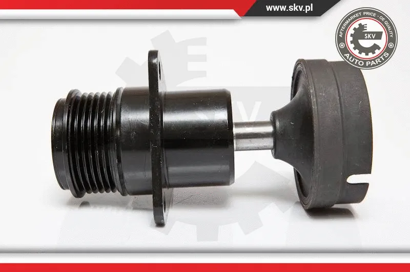 Alternator Freewheel Clutch