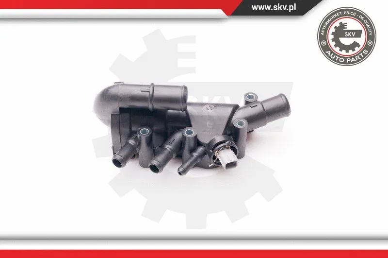 Thermostat, coolant
