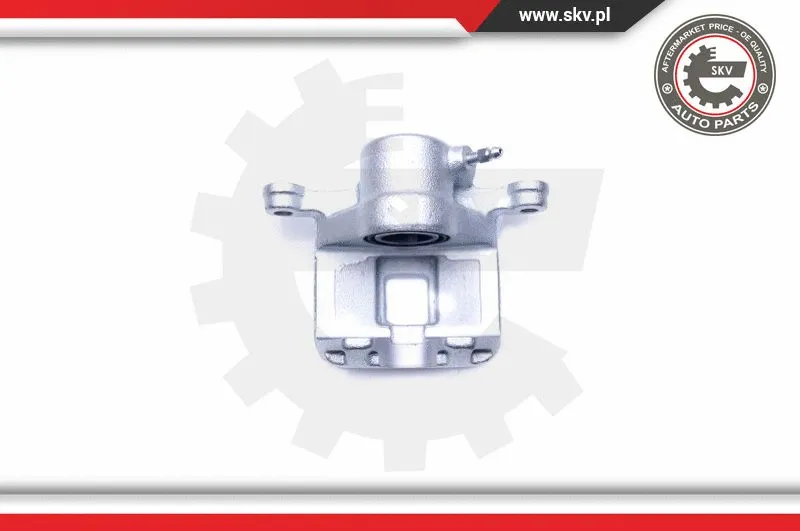 Brake Caliper (42SKV773)