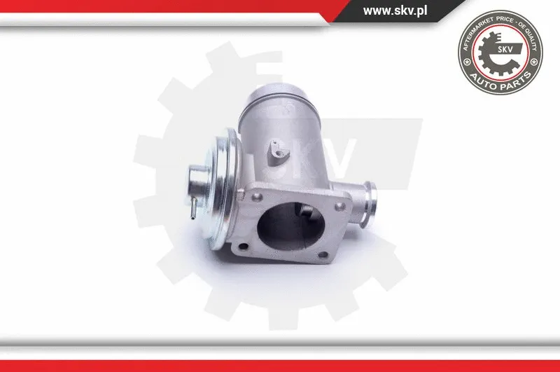 EGR Valve