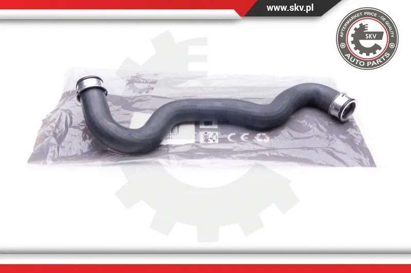 Radiator Hose (24SKV291)