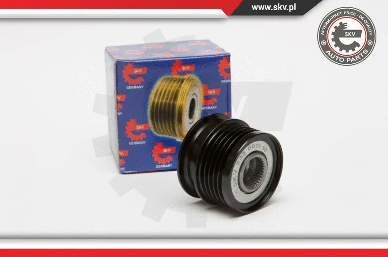 Alternator Freewheel Clutch (11SKV008)