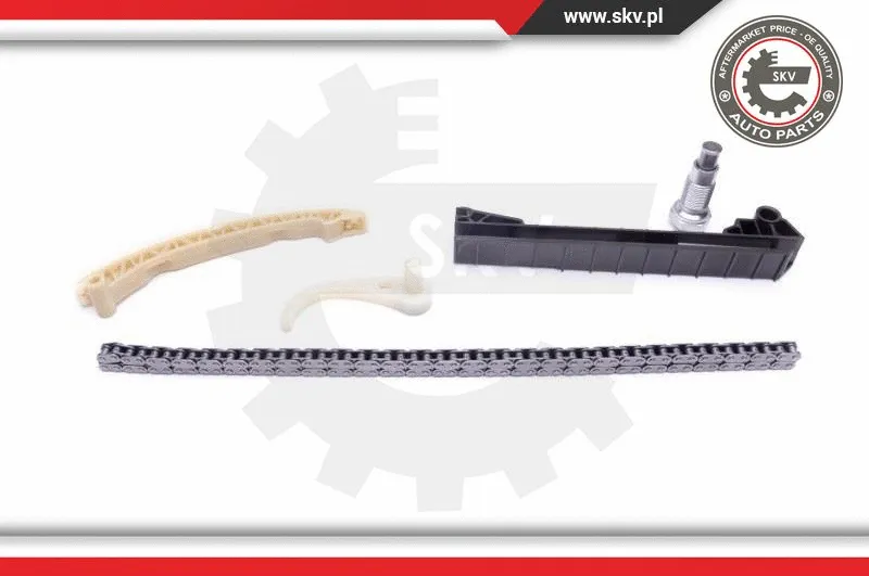 Timing Chain Kit