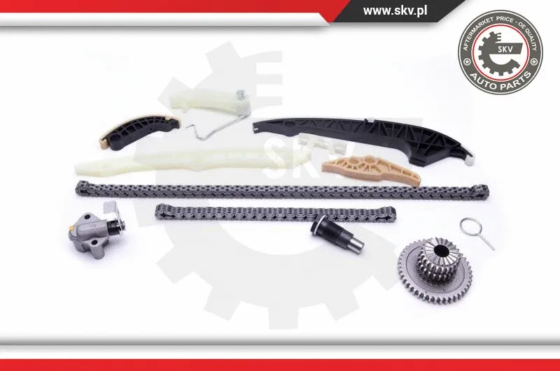 Timing Chain Kit