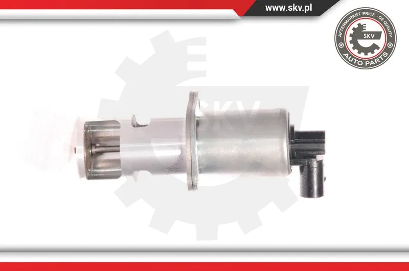EGR Valve