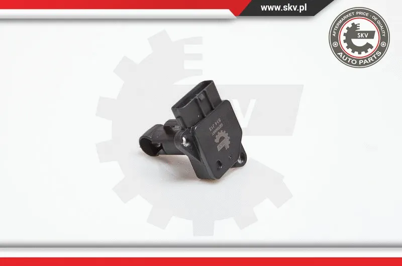 Mass Air Flow Sensor