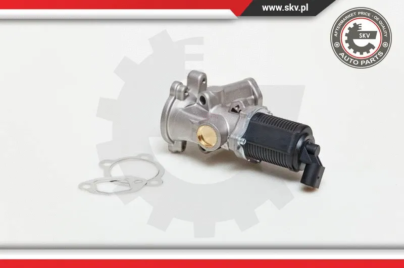 EGR Valve (14SKV039)