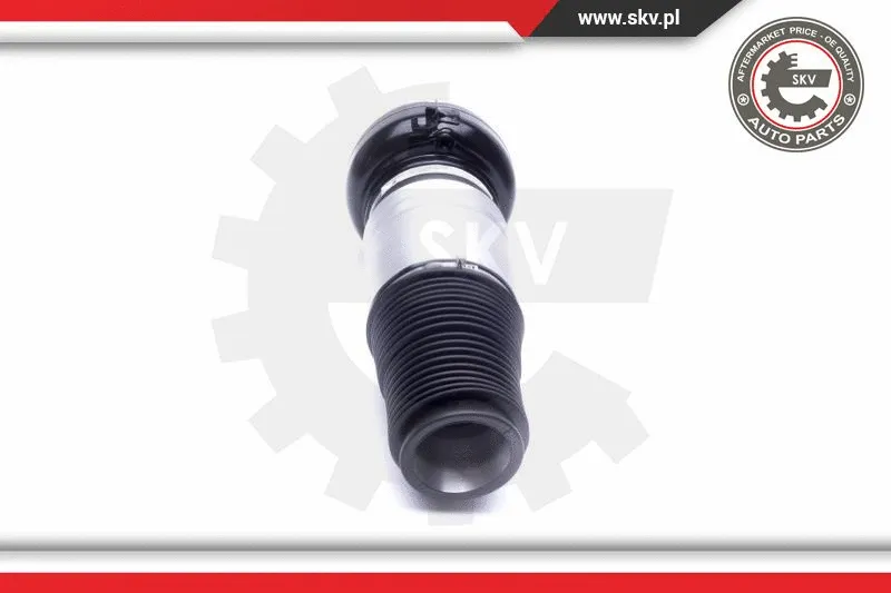 Air Suspension Strut