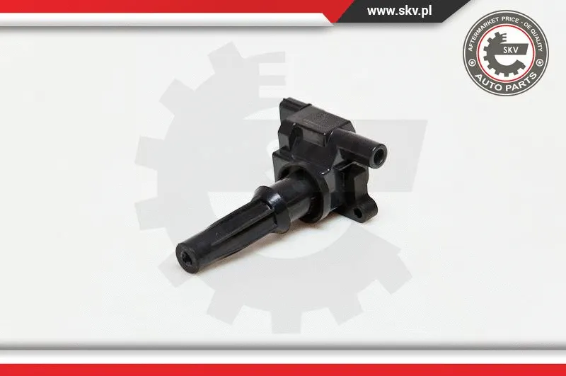 Ignition Coil (03SKV072)