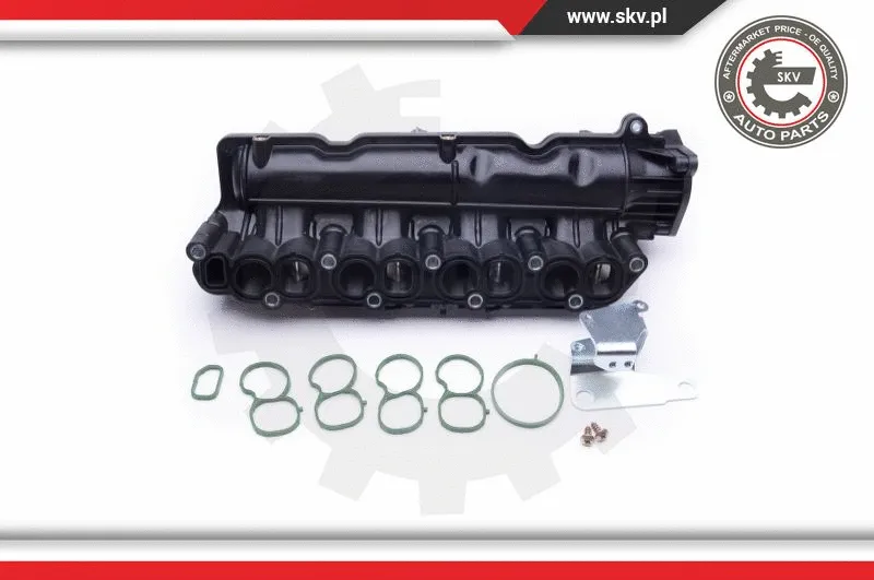 Intake Manifold Module