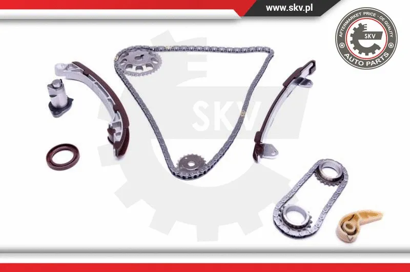 Timing Chain Kit