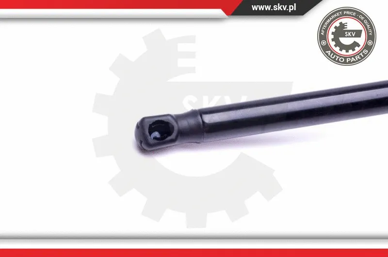 Gas Spring, boot/cargo area
