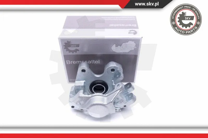Brake Caliper (46SKV024)