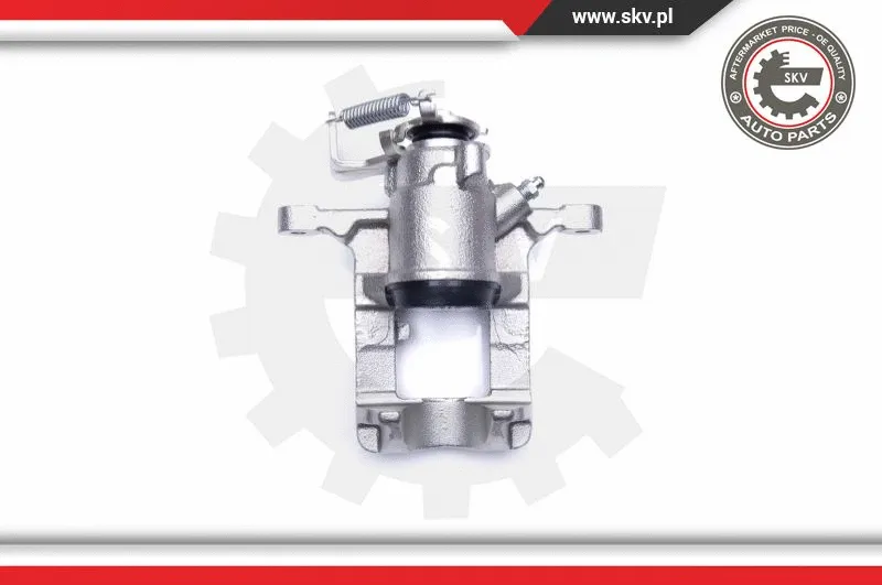 Brake Caliper (44SKV953)