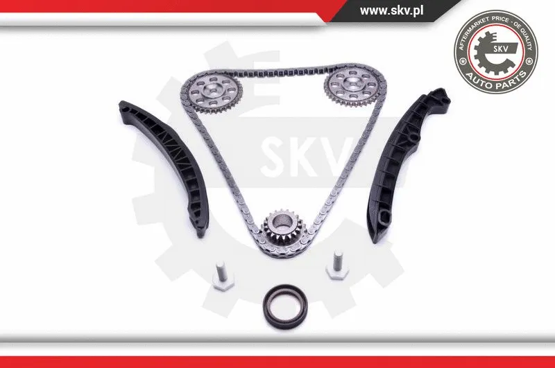 Timing Chain Kit
