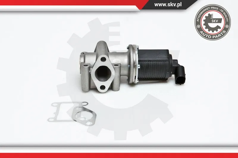 EGR Valve