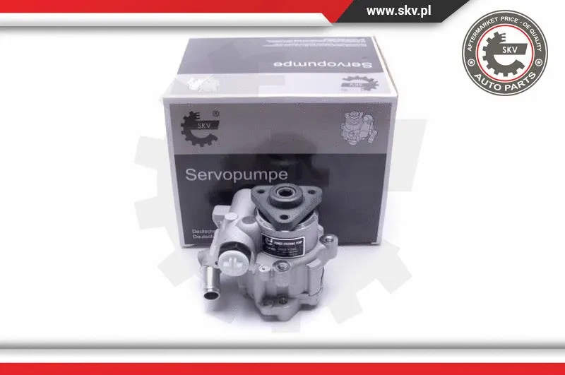 Hydraulic Pump, steering (10SKV296)