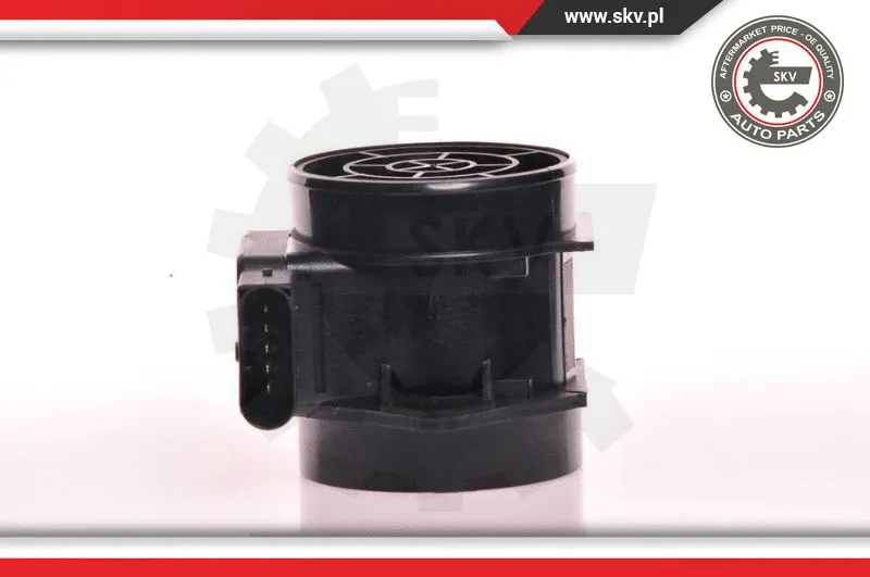 Mass Air Flow Sensor