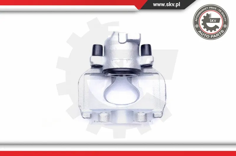 Brake Caliper (45SKV312)