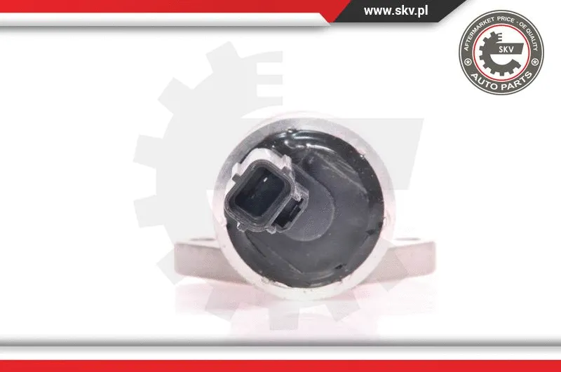 Idle Control Valve, air supply