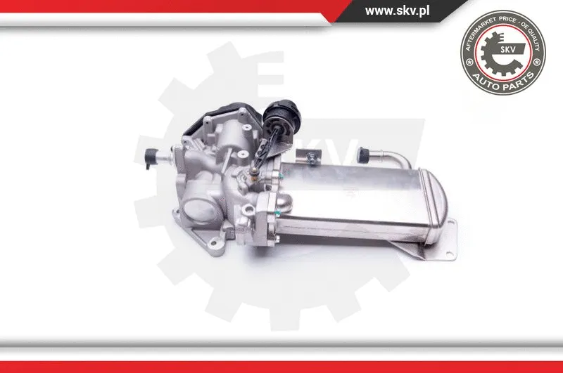 EGR Valve
