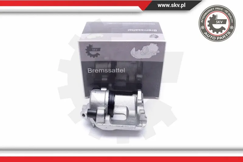 Brake Caliper (55SKV821)